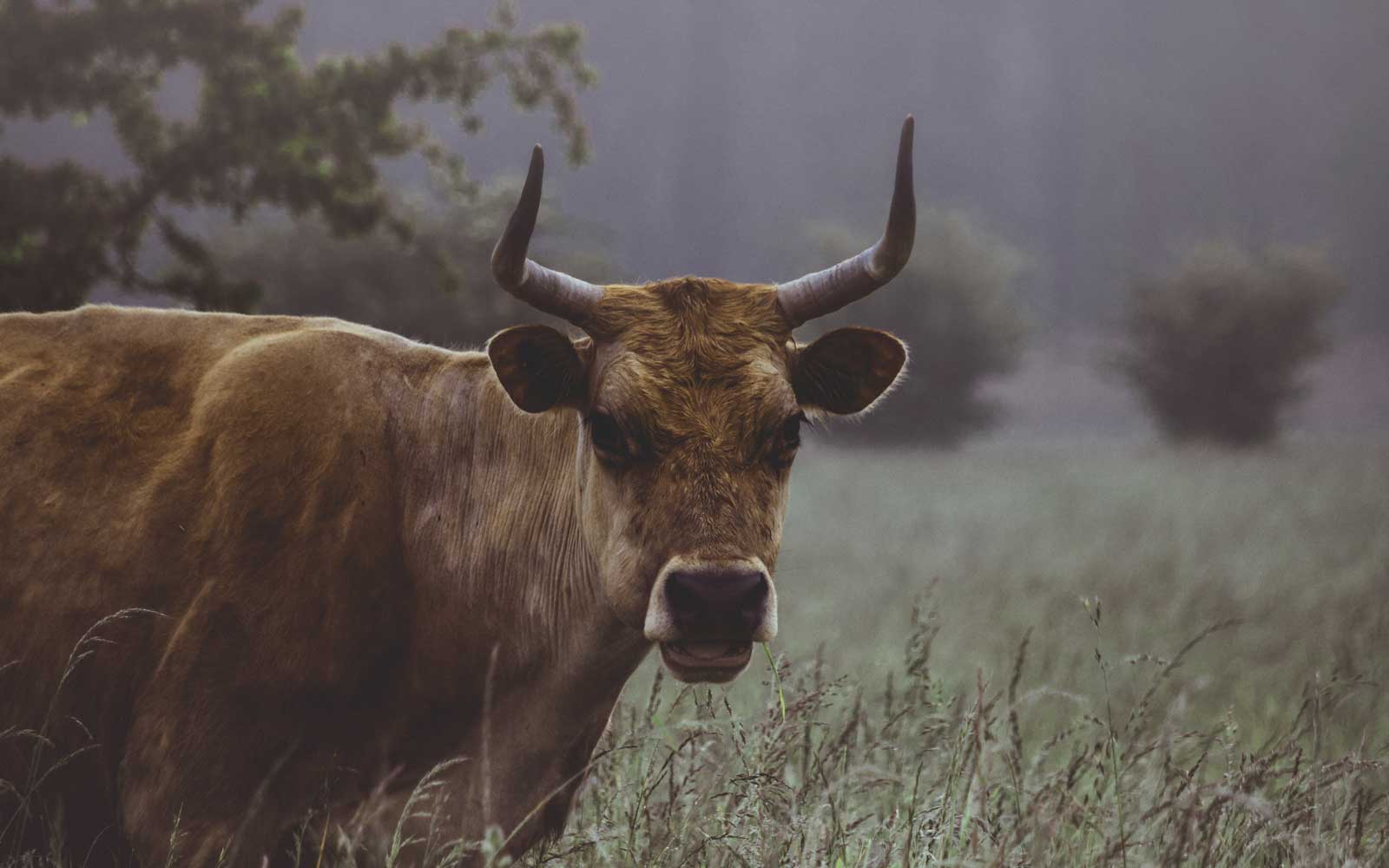 Buckley Commercial Real Estate Commercial Real Estate In Charlotte Nc